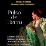 PulsoDeTierra - Insta -2